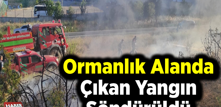 Ormanlık alanda çıkan yangın söndürüldü