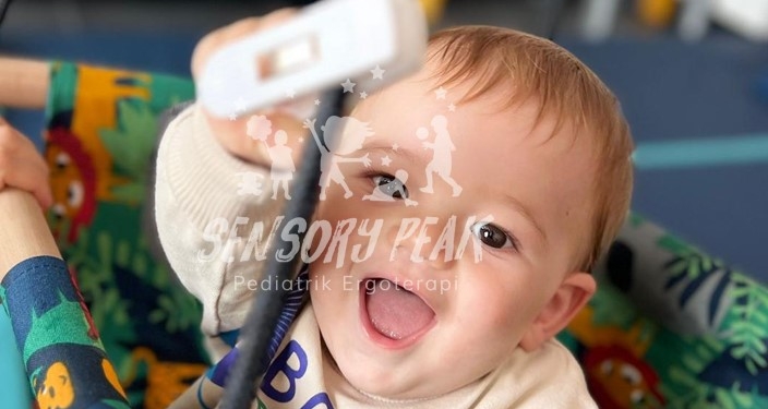 Sakarya’da Ergoterapi Hizmetleri İçin Sensory Peak