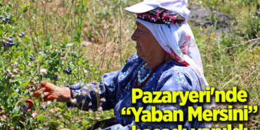 YABAN