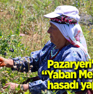 YABAN