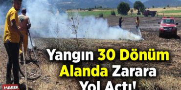 Yangın 30 Dönüm Alanda Zarara Yol Açtı!