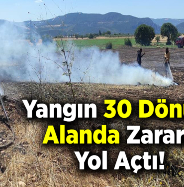 Yangın 30 Dönüm Alanda Zarara Yol Açtı!