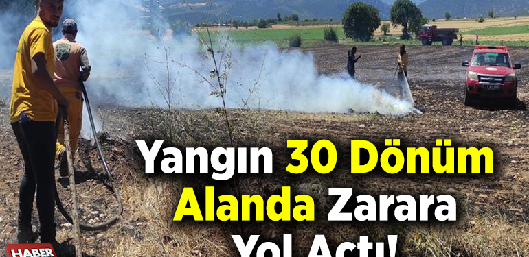 Yangın 30 Dönüm Alanda Zarara Yol Açtı!