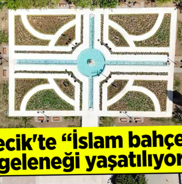 bace