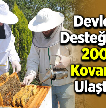 devlet desteğiyle 200 kovana ulaştı