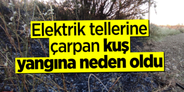 kuj