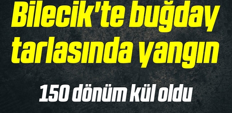 Bilecik’te buğday tarlasında çıkan yangın söndürüldü