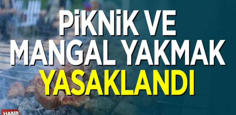 Bilecik’te piknik ve mangal yasaklandı!
