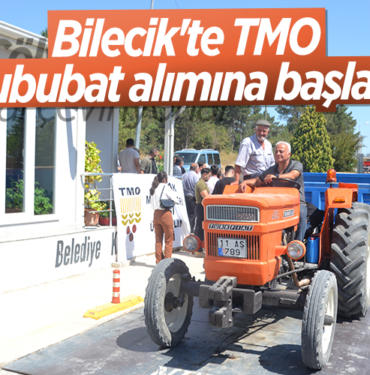 tmo