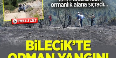 yangın