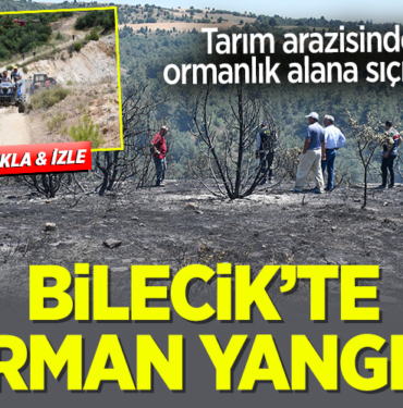yangın