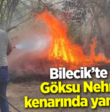 yangın