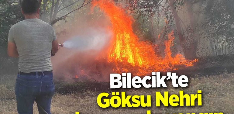 Bilecik’te Göksu Nehri kenarında yangın çıktı