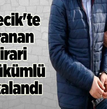Bilecik'te 2 firari hükümlü yakalandı