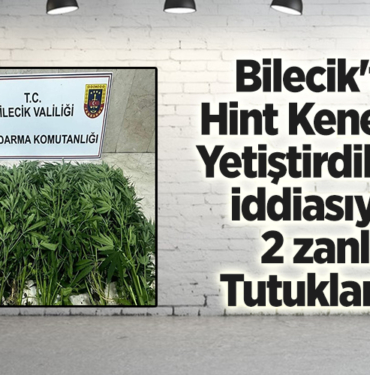 Bilecik'te Hint keneviri yetiştirdikleri iddiasıyla 2 zanlı tutuklandı