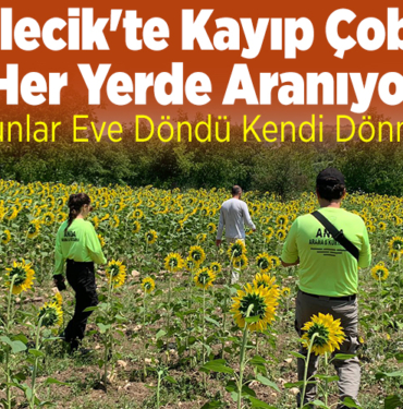 Bilecik'te Kayıp Çoban Her Yerde Aranıyor!
