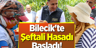 Bilecik'te Şeftali Hasadı