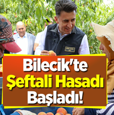 Bilecik'te Şeftali Hasadı