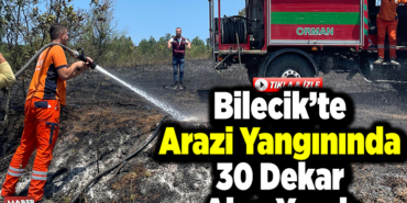 Bilecik’te arazi yangınında 30 dekar alan yandı