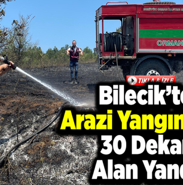 Bilecik’te arazi yangınında 30 dekar alan yandı