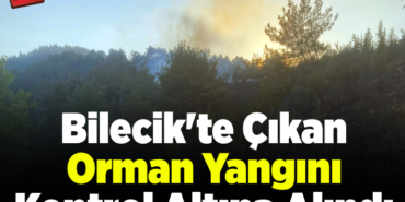Bilecik'te çıkan orman yangını kontrol altına alındı