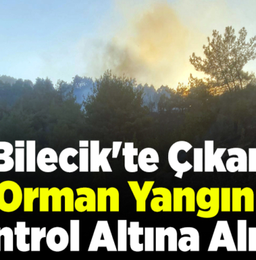 Bilecik'te çıkan orman yangını kontrol altına alındı