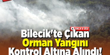 Bilecik'te çıkan orman yangını kontrol altına alındı
