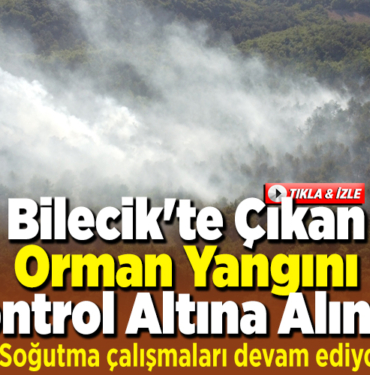 Bilecik'te çıkan orman yangını kontrol altına alındı