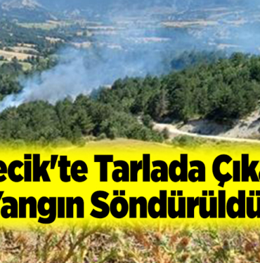 Bilecik'te tarlada çıkan yangın söndürüldü