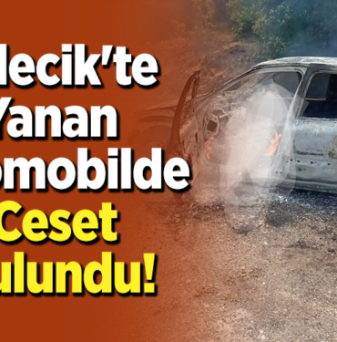 Bilecik'te yanan otomobilde ceset bulundu