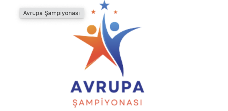 Euro 2024 Türkiye
