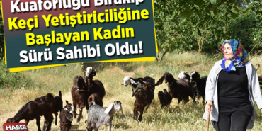 Kuaförlüğü bırakıp keçi yetiştiriciliğine başlayan kadın sürü sahibi oldu