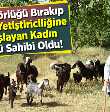 Kuaförlüğü bırakıp keçi yetiştiriciliğine başlayan kadın sürü sahibi oldu