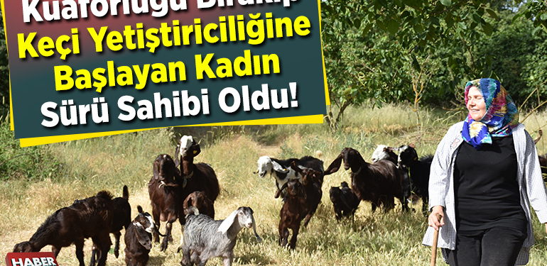 Kuaförlüğü bırakıp keçi yetiştiriciliğine başlayan kadın sürü sahibi oldu