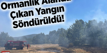 Ormanlık alanda çıkan yangın söndürüldü