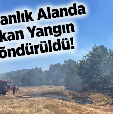 Ormanlık alanda çıkan yangın söndürüldü