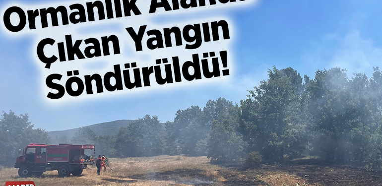 Ormanlık alanda çıkan yangın söndürüldü