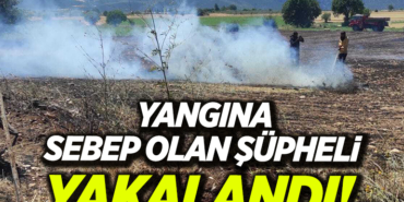 YANGIN