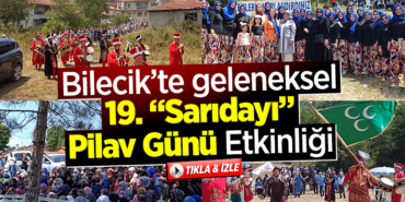 sarıdayı