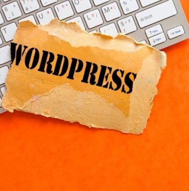 wordpress ajansı (3)