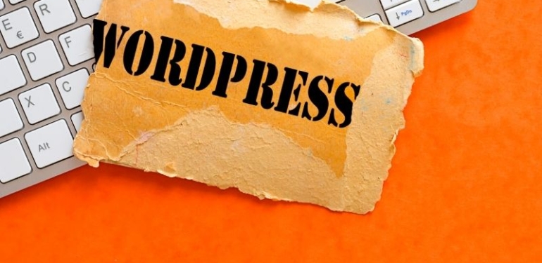 WordPress İle Web Sitesi Yönetiminin Önemi