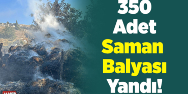 350 Adet Saman Balyası Yandı!