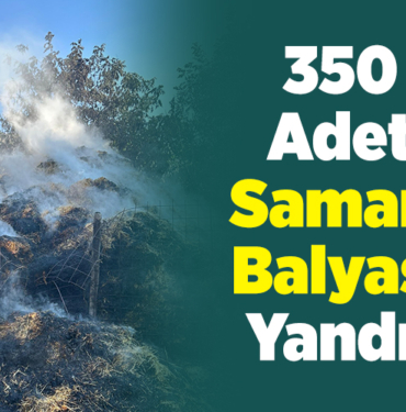 350 Adet Saman Balyası Yandı!