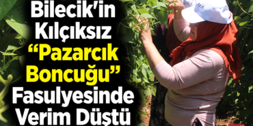 Bilecik'in kılçıksız Pazarcık boncuğu fasulyesinde verim düştü