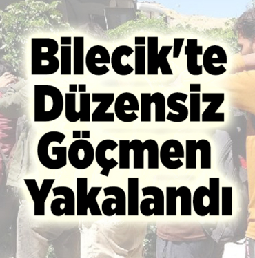 Bilecik'te Düzensiz Göçmen Yakalandı
