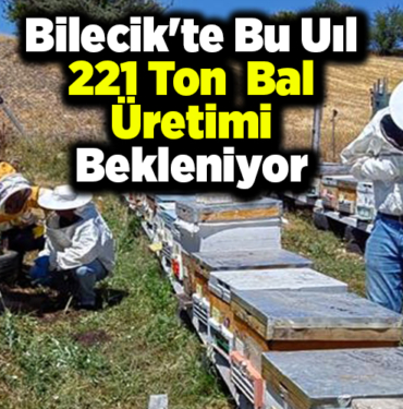 Bilecik'te bu yıl 221 ton bal üretimi bekleniyor