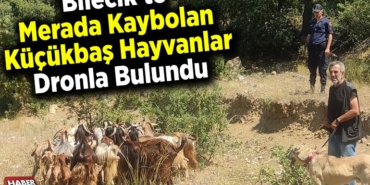 Bilecik'te merada kaybolan küçükbaş hayvanlar dronla bulundu