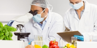 ISO 22000 (1)