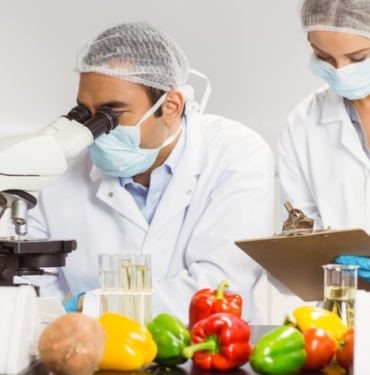 ISO 22000 (1)