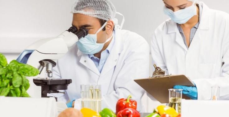 ISO 22000 ile Güvenilir Gıda Yönetimi: Adım Adım Rehber